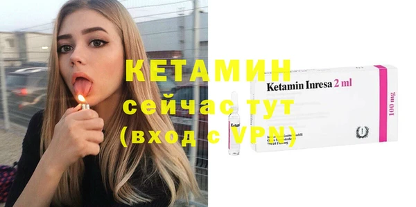 соль ск Дмитриев