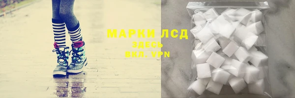 соль ск Дмитриев
