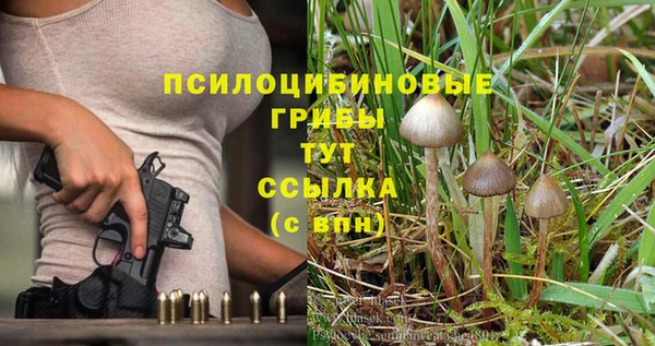 бутират Гусев