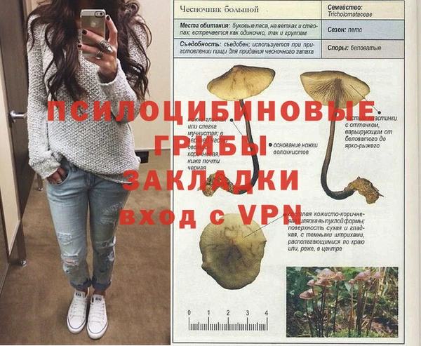 таблы Новодвинск
