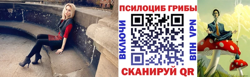 MEGA рабочий сайт  Приозерск  Галлюциногенные грибы ЛСД  цены наркотик 